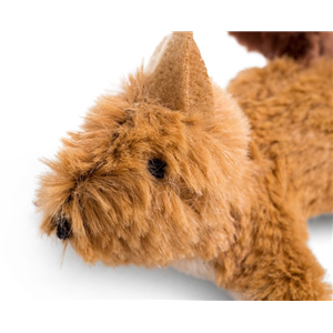 Freddie Fox
